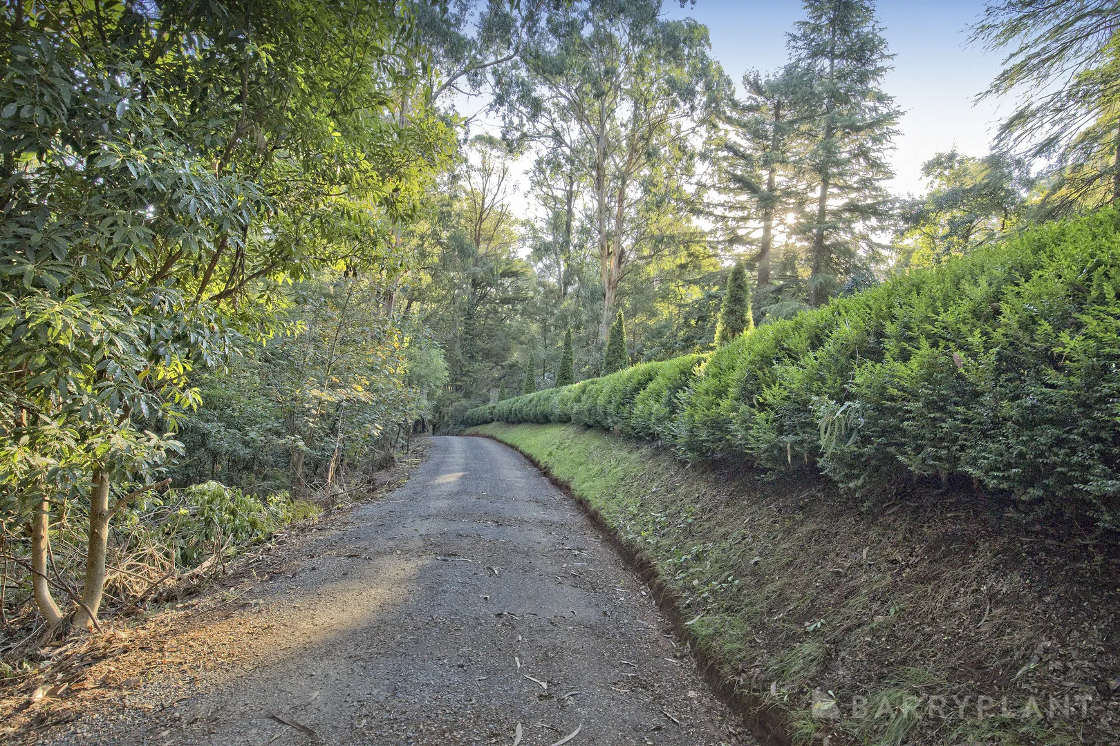 Additional image 15 of 73 Emerald Creek Road, Monbulk VIC 3793