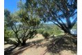 Additional image 10 of 22505 Rolling Hills Rd, Saratoga, CA, 95070