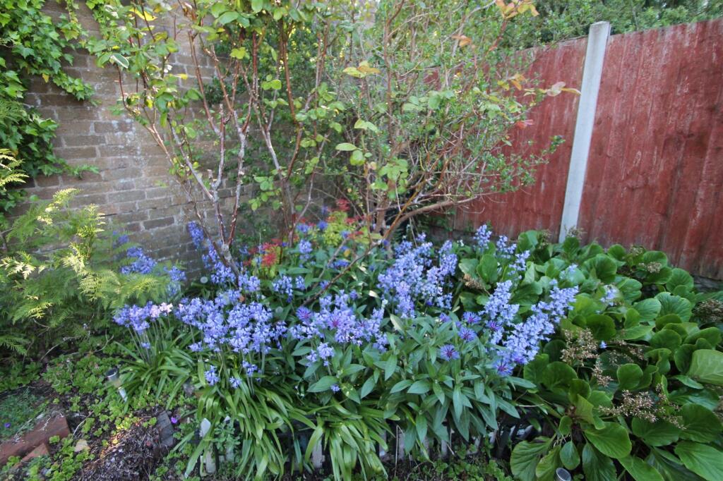 Additional image 14 of New England, Halesowen