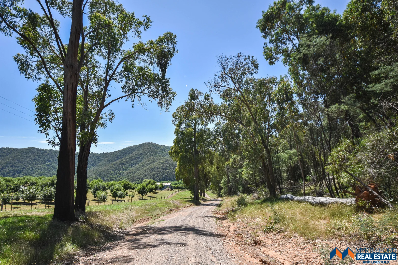 Additional image 9 of 820 Buffalo Creek Road, Myrtleford VIC 3737
