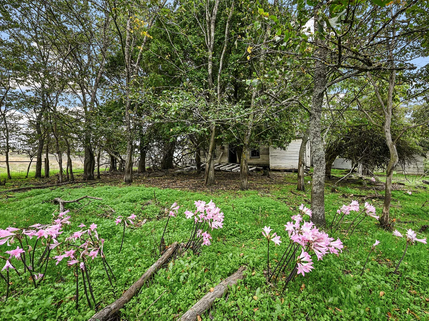 Additional image 7 of 4231 Dartmoor-Hamilton Road, Grassdale VIC 3302
