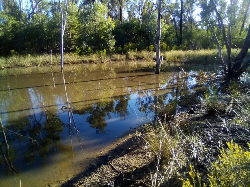 Additional image 4 of Lot 71 Males Drive, Tara QLD 4421