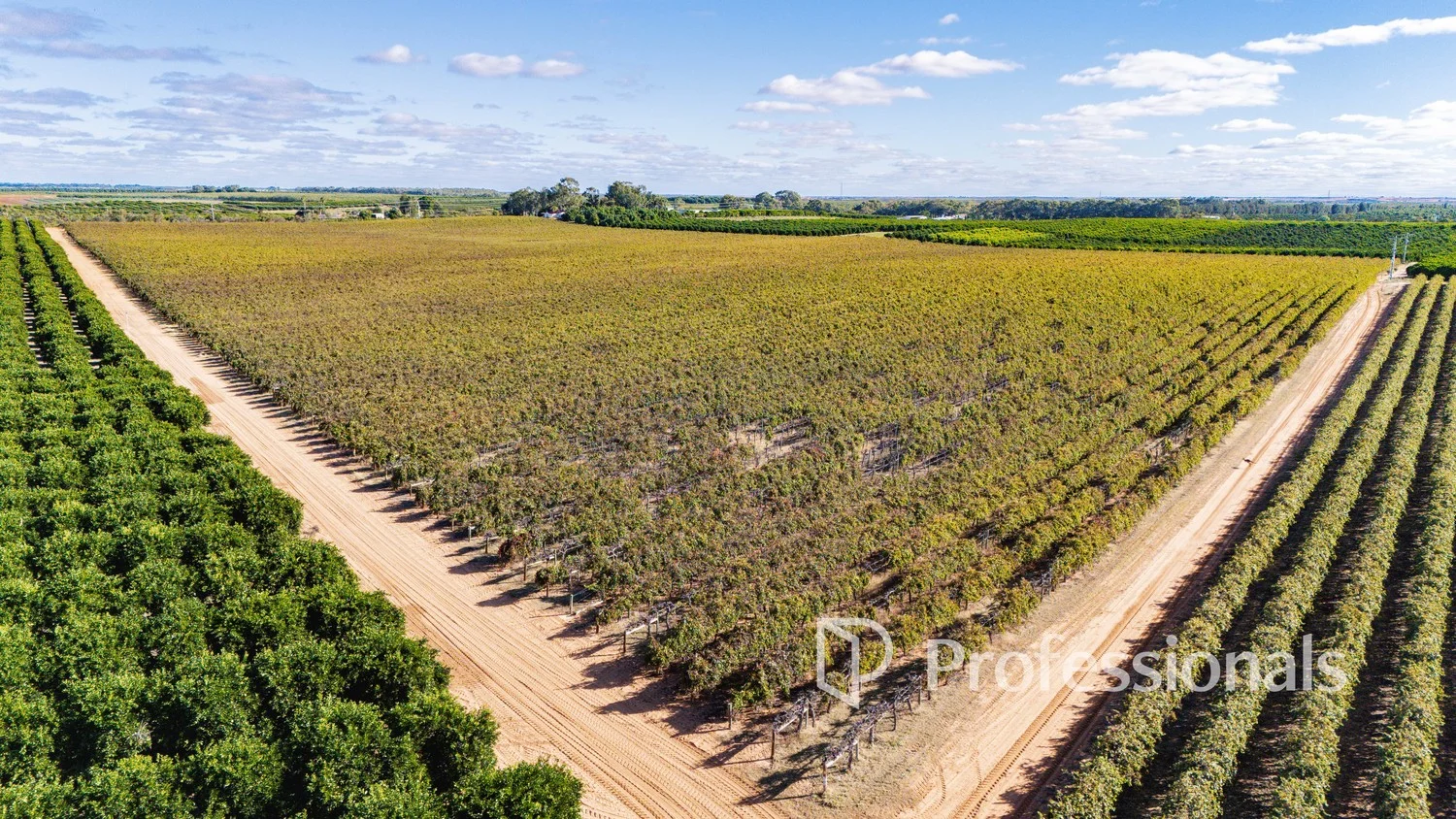 Additional image 8 of 2836 Kulkyne Way, Nangiloc VIC 3494