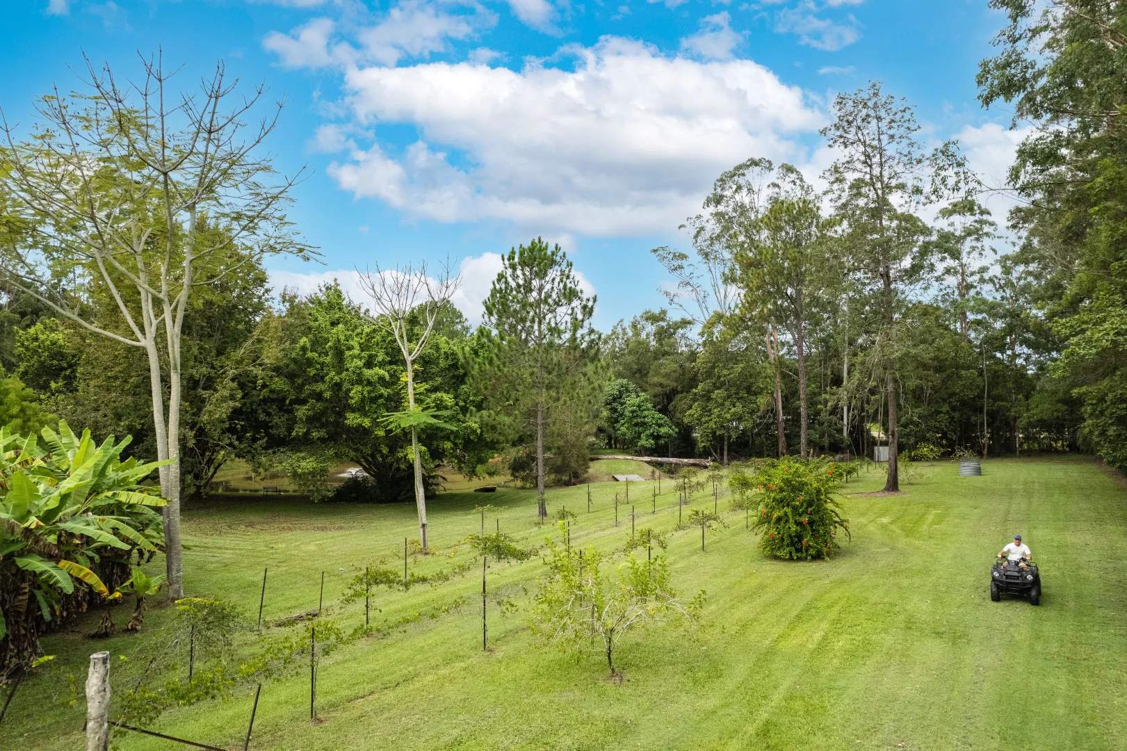 Additional image 8 of 15-31 Neeraway Road, Eerwah Vale QLD 4562