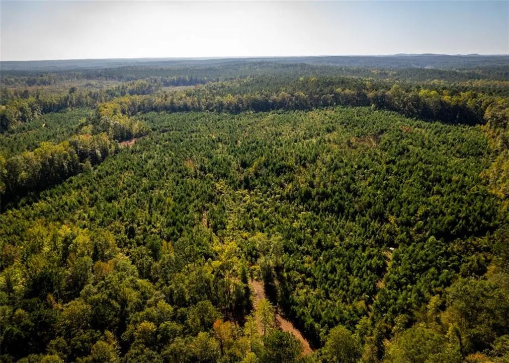 Additional image 19 of Lee Rd 334, Salem, AL 36874
