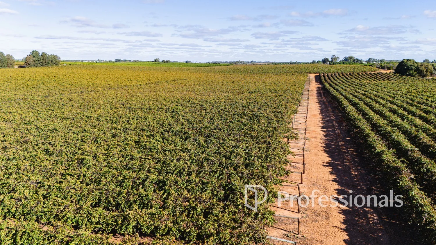 Additional image 7 of 2836 Kulkyne Way, Nangiloc VIC 3494