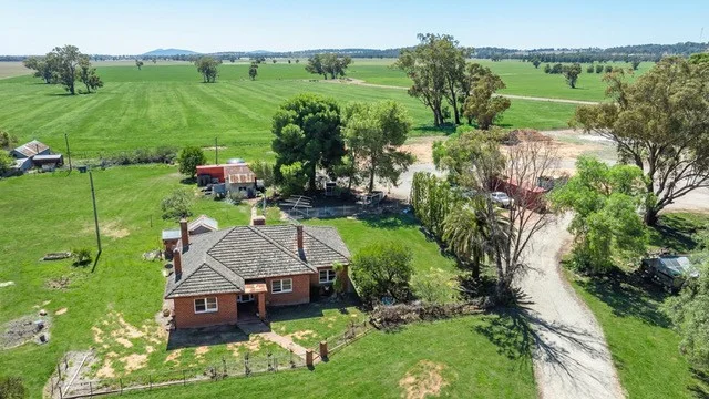 Additional image 4 of 1127 Grubben Road, Henty NSW 2658