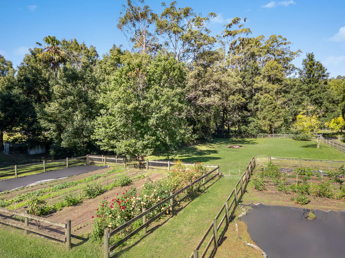 Additional image 4 of 197 Ourimbah Creek Road, Ourimbah NSW 2258