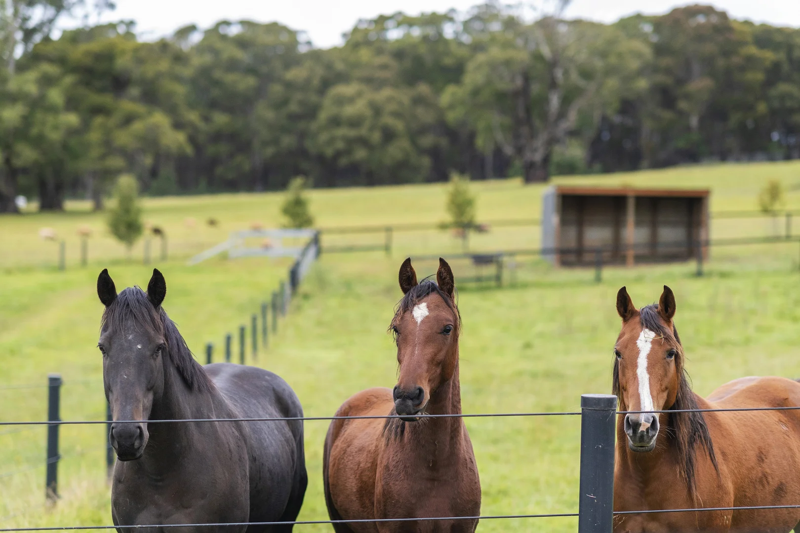 Additional image 23 of 108 Vinicombes Road, Tallong NSW 2579