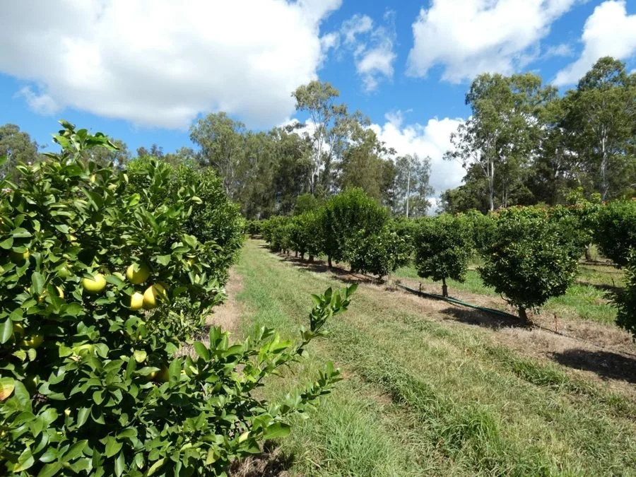 Additional image 28 of 86 Simpsons Road, Bullyard QLD 4671