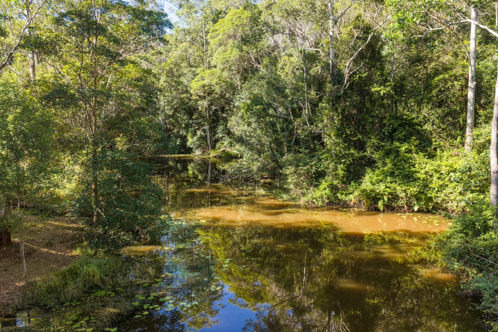 Additional image 29 of 24 Carroo Lane, Ridgewood QLD 4563