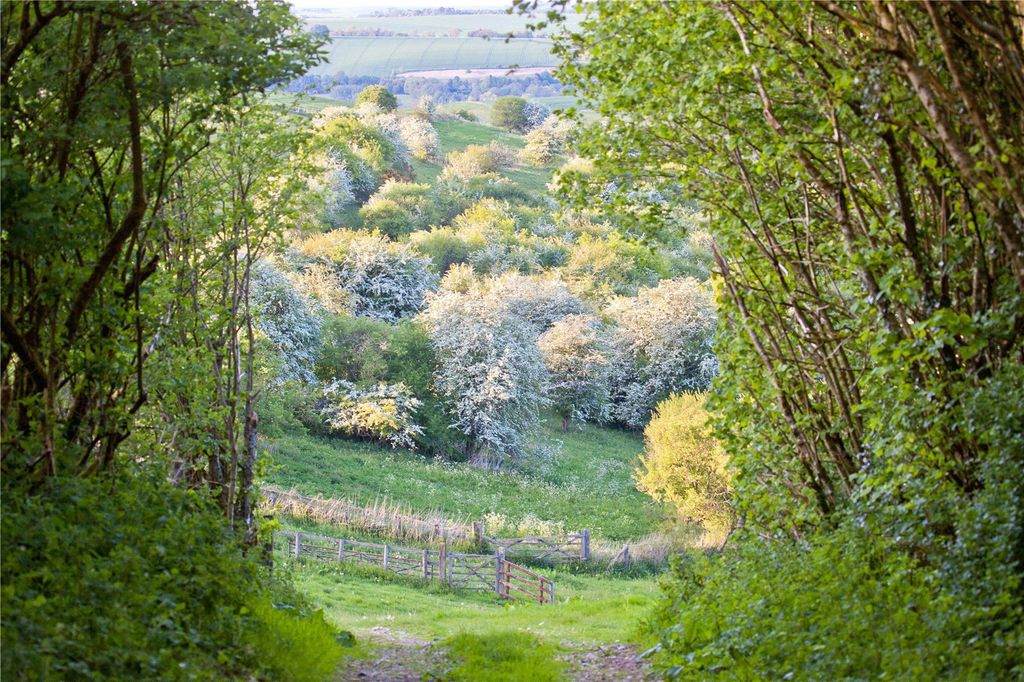 Additional image 4 of Land for saleWylye Down Farm, Bapton Manor, Bapton, Warminster BA12