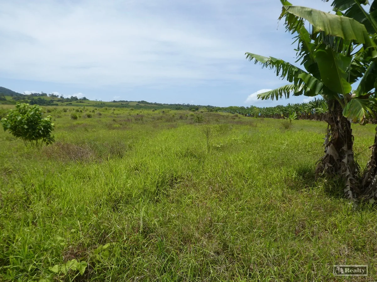 Additional image 4 of Part of Lot 3 Jubilee Road, Eaton QLD 4860