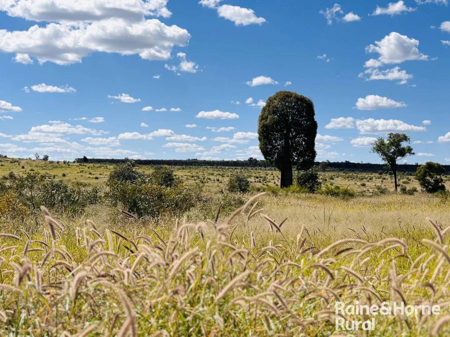 640 Carrington Road, Roma QLD 4455