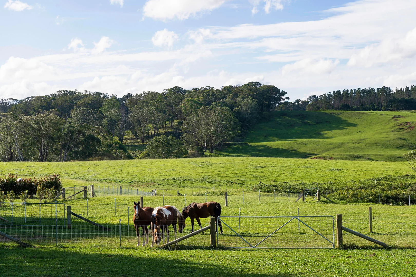 Additional image 34 of 59 Razorback Road, Tallong NSW 2579
