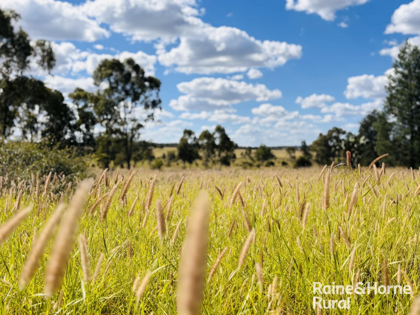Additional image 12 of 640 Carrington Road, Roma QLD 4455