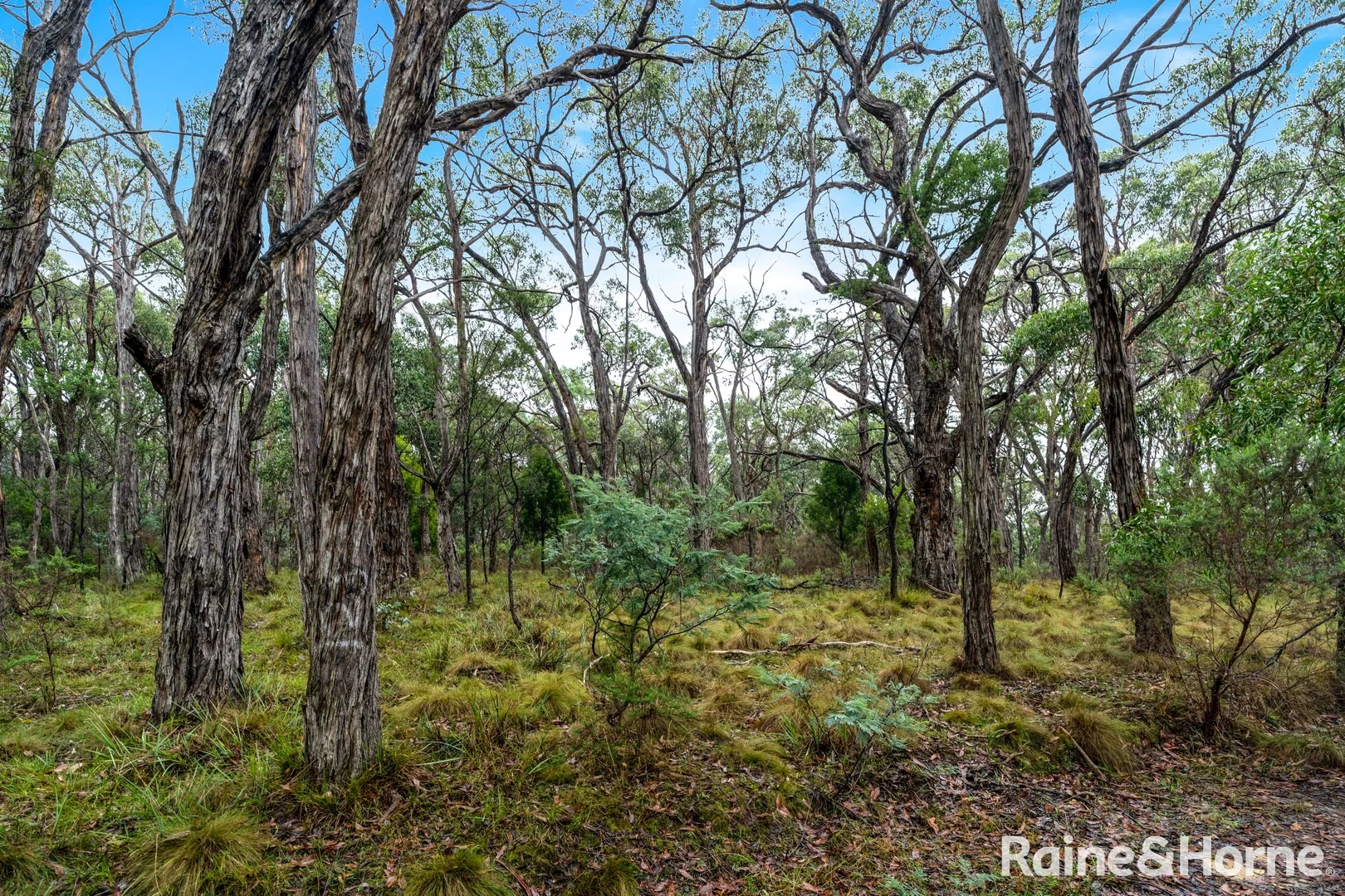 Lot 126 Prince Alfred Street, Riddells Creek VIC 3431