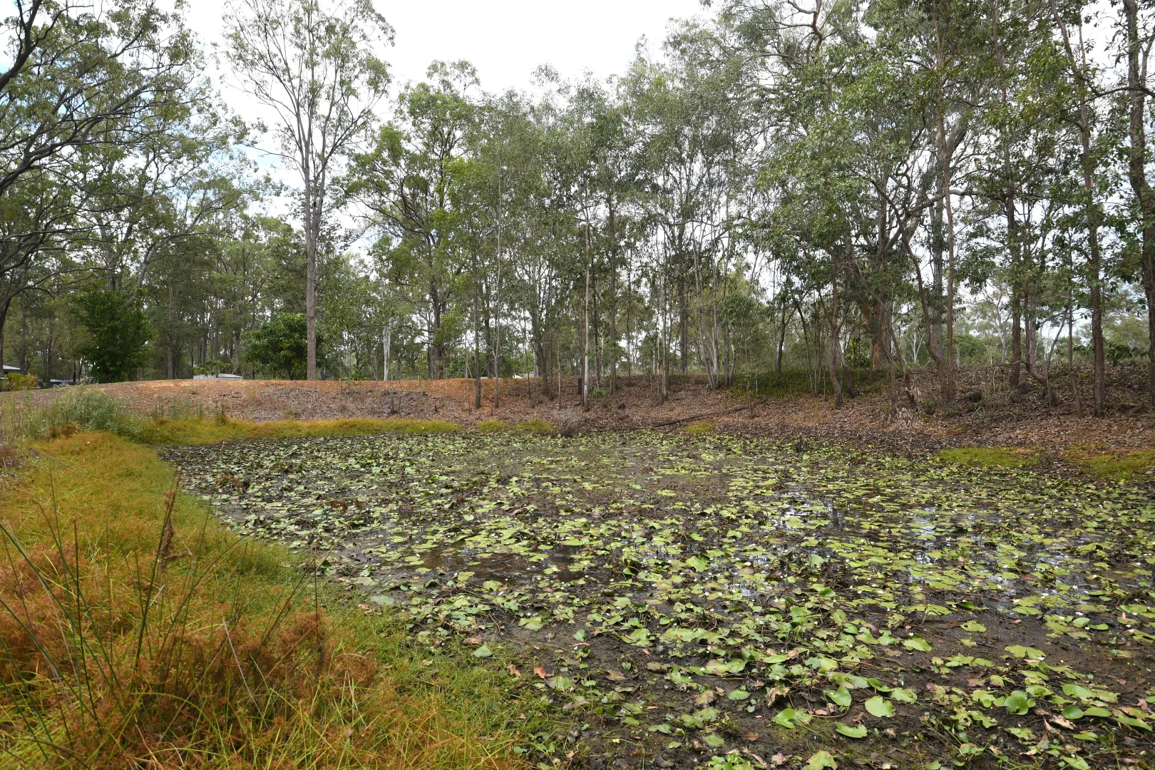 Additional image 24 of 127 Rocky Gully Road, Coominya QLD 4311