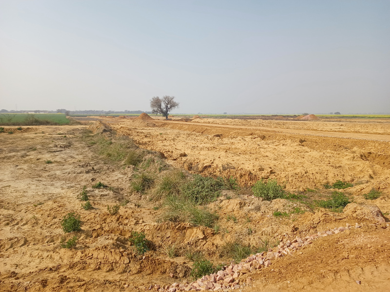 Sector 73, Gurgaon photo 2