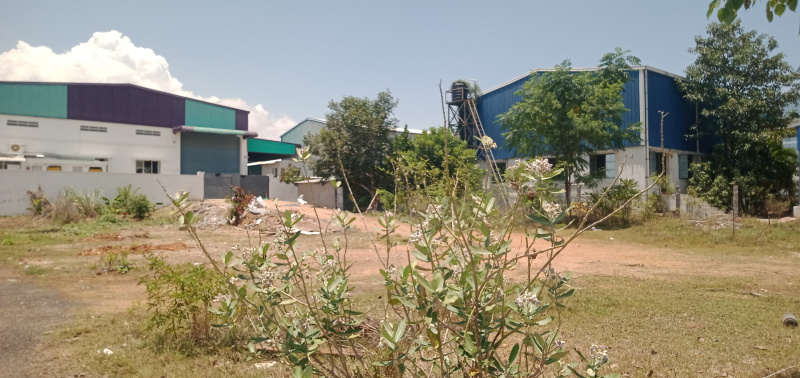 Mopperipalayam, Coimbatore photo 3