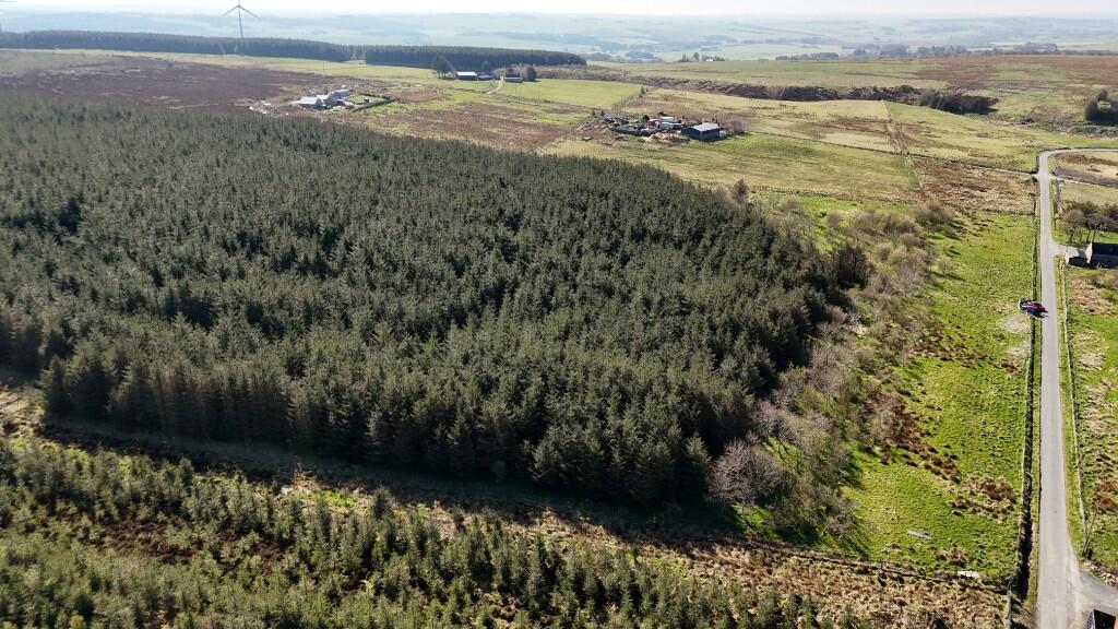Additional image 14 of Woodland at Broadmuir, Hill of Fisherie, Turriff, AB53 5QL