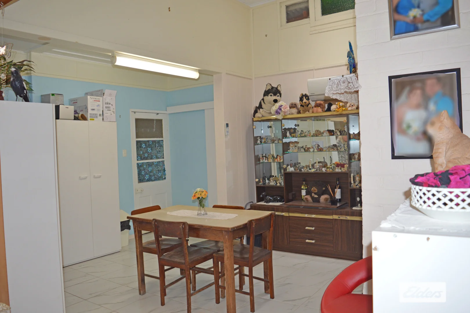 111 Guy Street, Warwick QLD 4370 photo 5