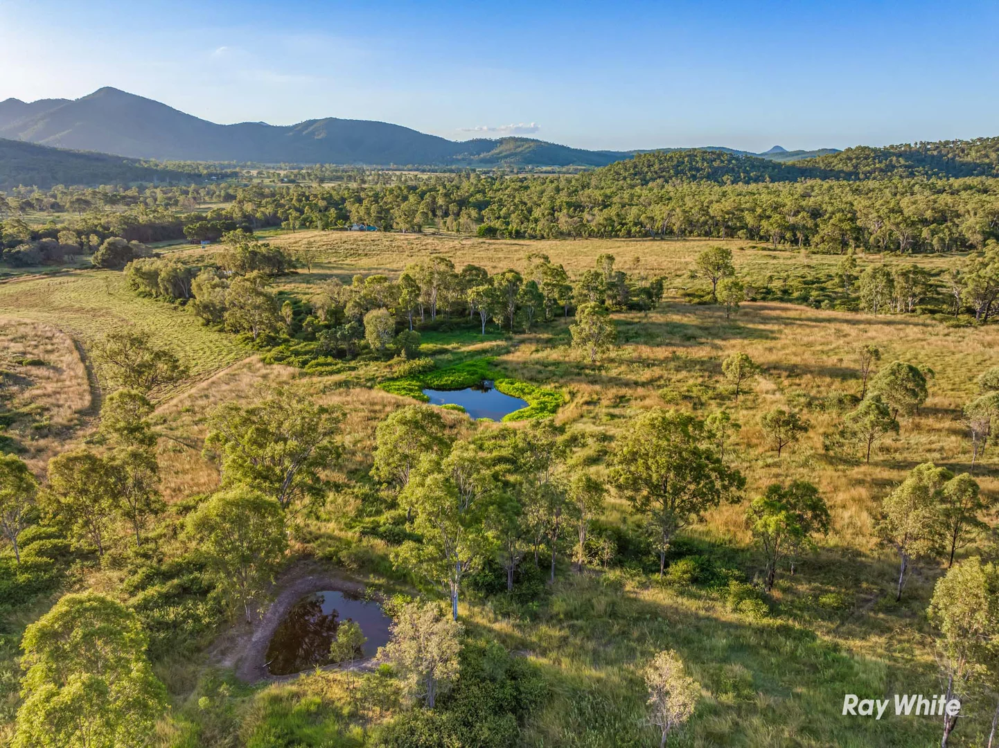 Additional image 28 of 217 Thompson Point Road, Nankin QLD 4701