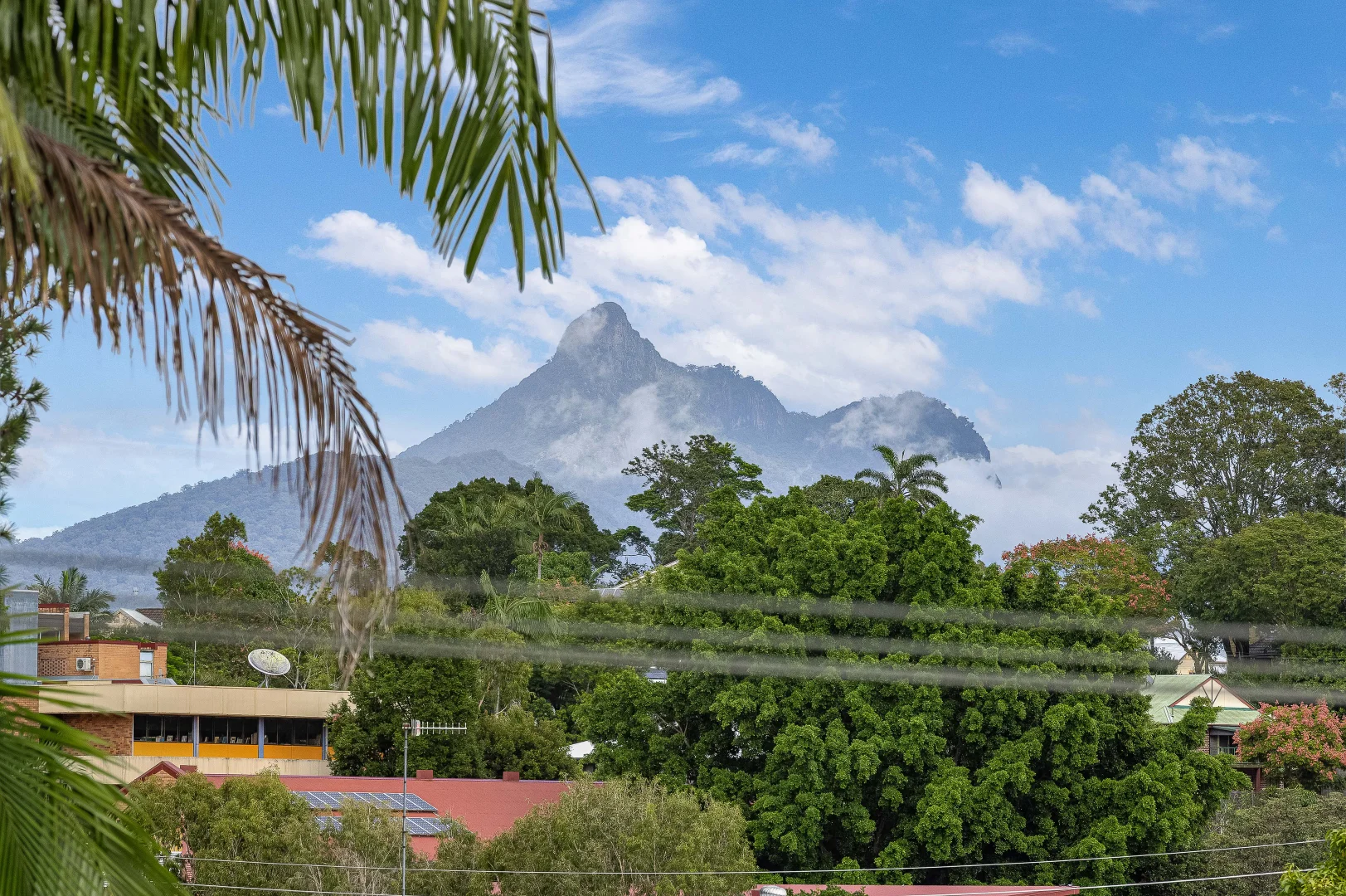 Additional image 16 of 13 Rous Street, Murwillumbah NSW 2484
