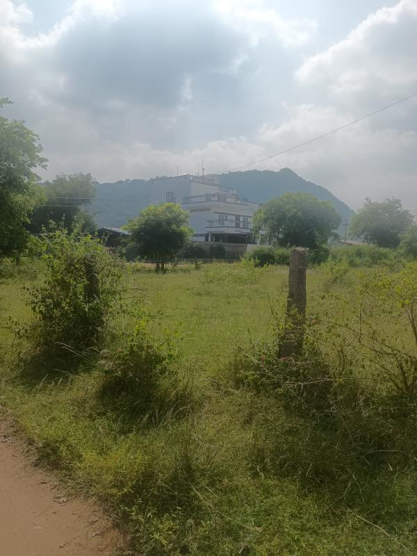 Karadivavi, Coimbatore