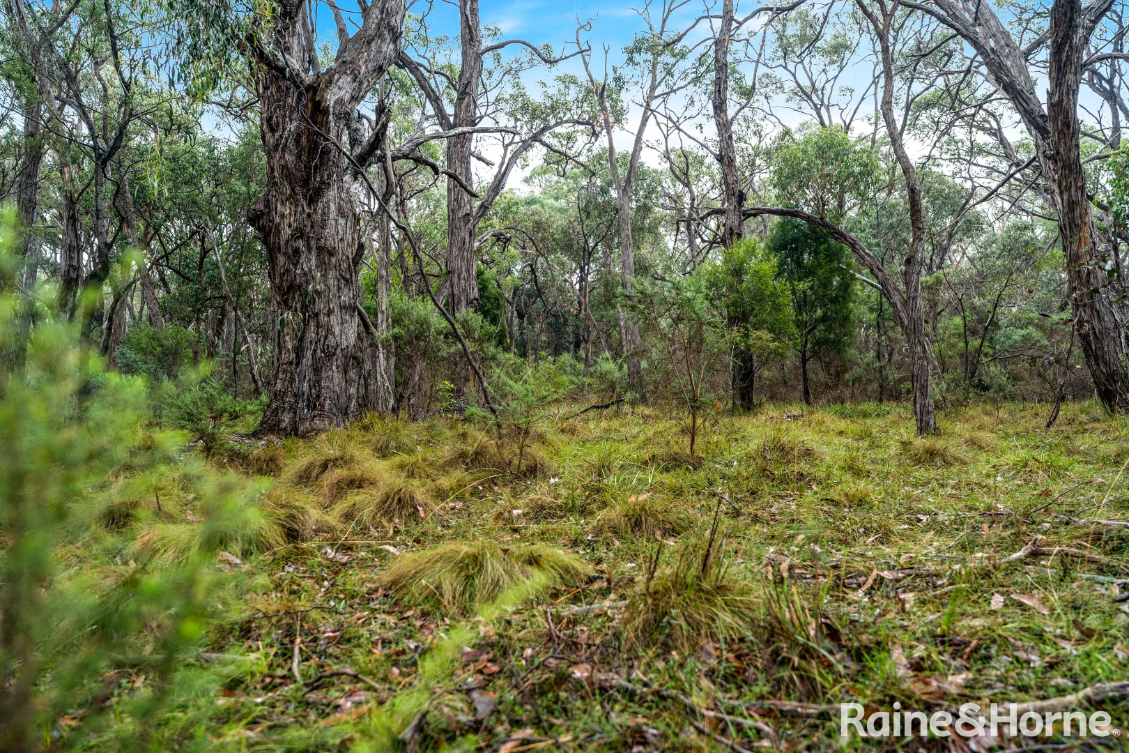 Additional image 5 of Lot 126 Prince Alfred Street, Riddells Creek VIC 3431
