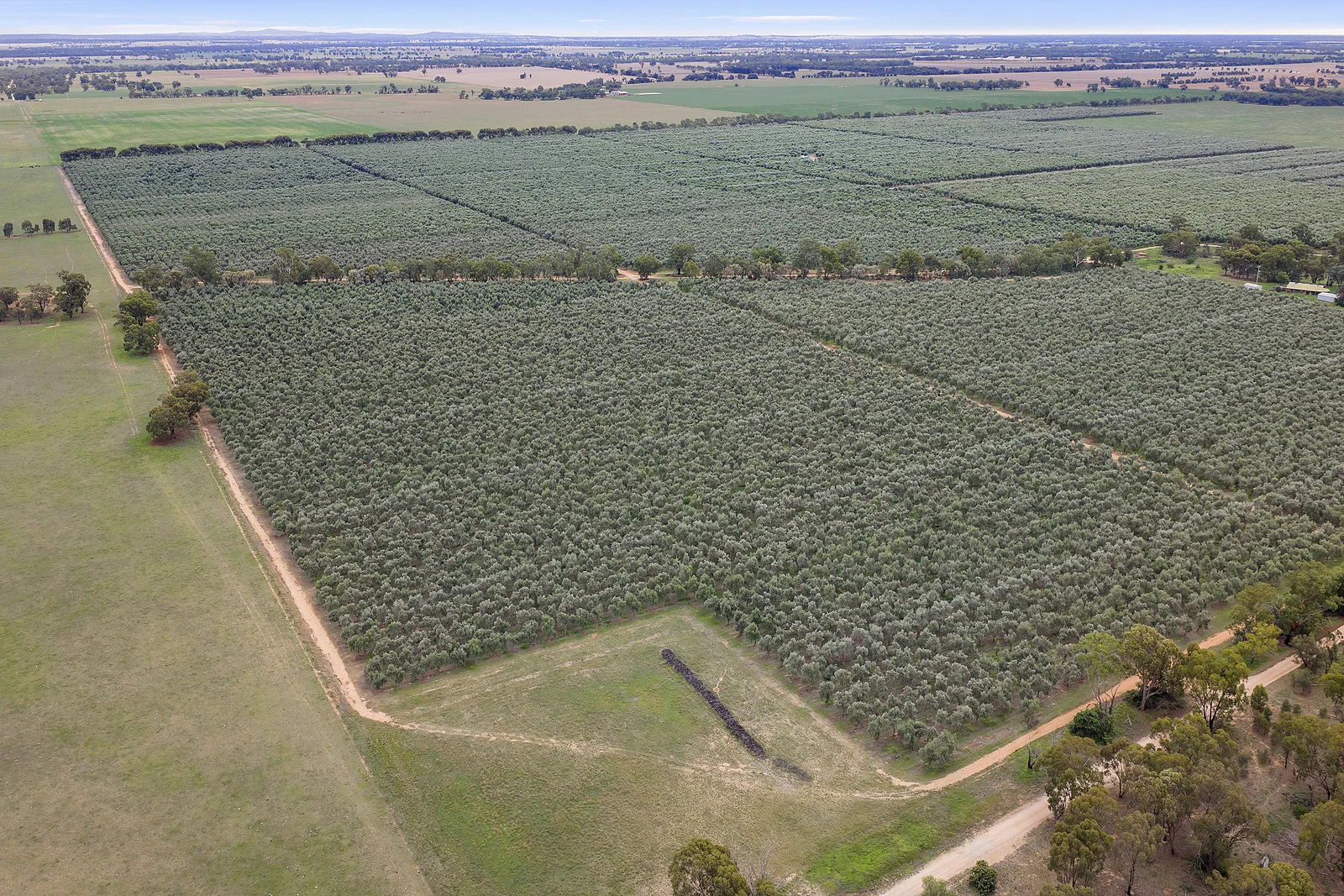 Additional image 22 of . Echuca Serpentine Road, Serpentine VIC 3517