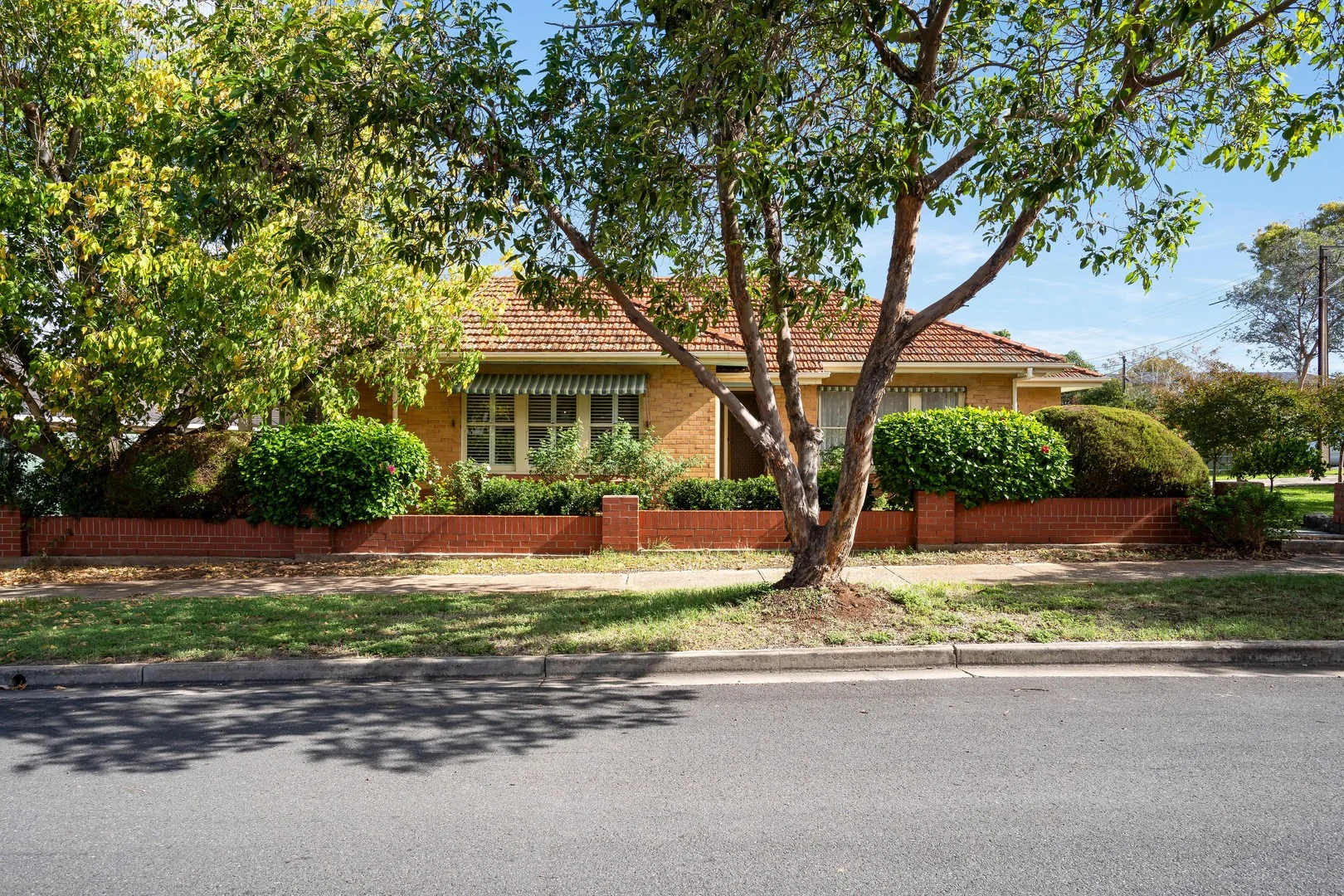 1 Garfield Street, Klemzig SA 5087