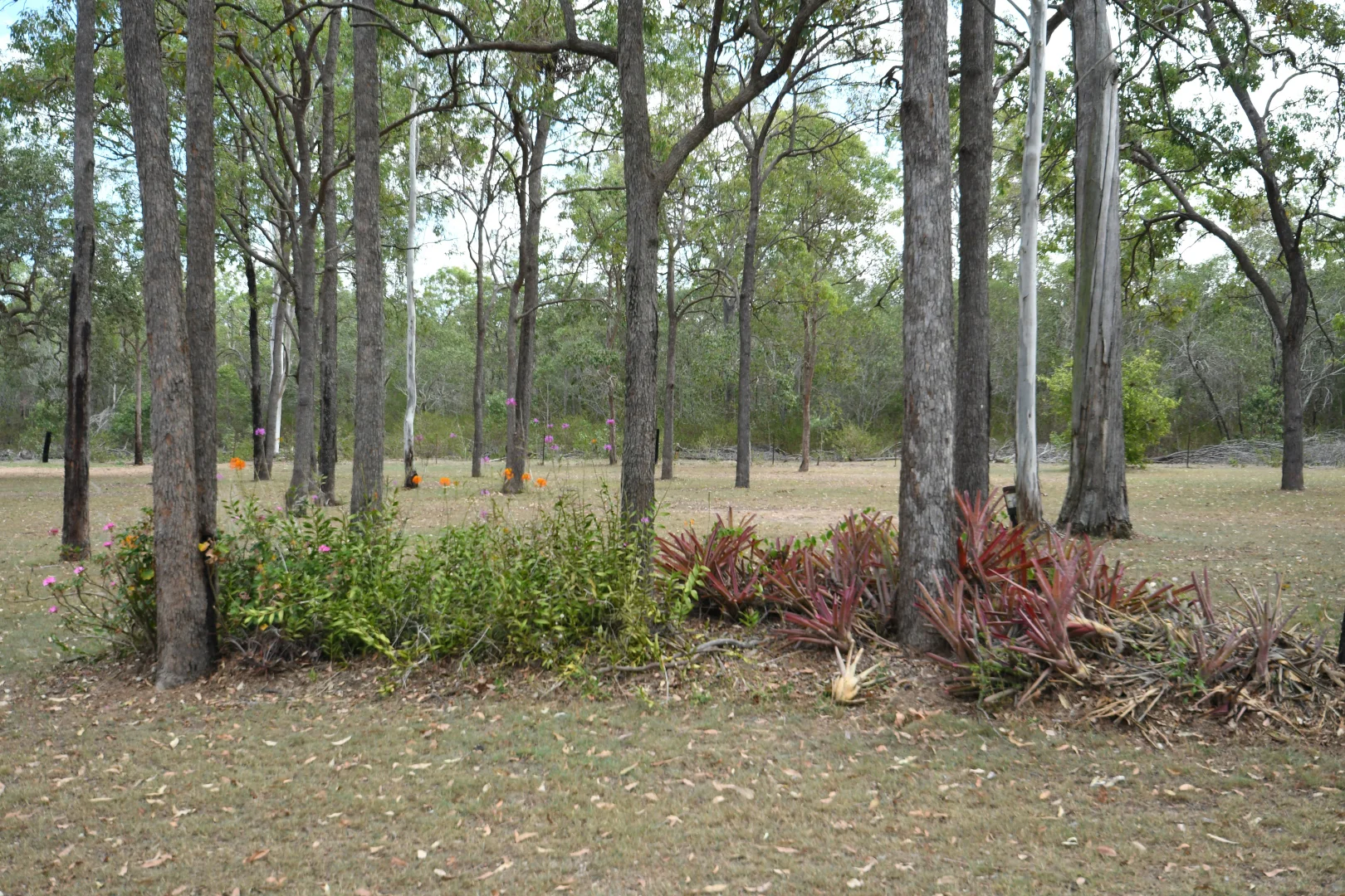 Additional image 22 of 127 Rocky Gully Road, Coominya QLD 4311