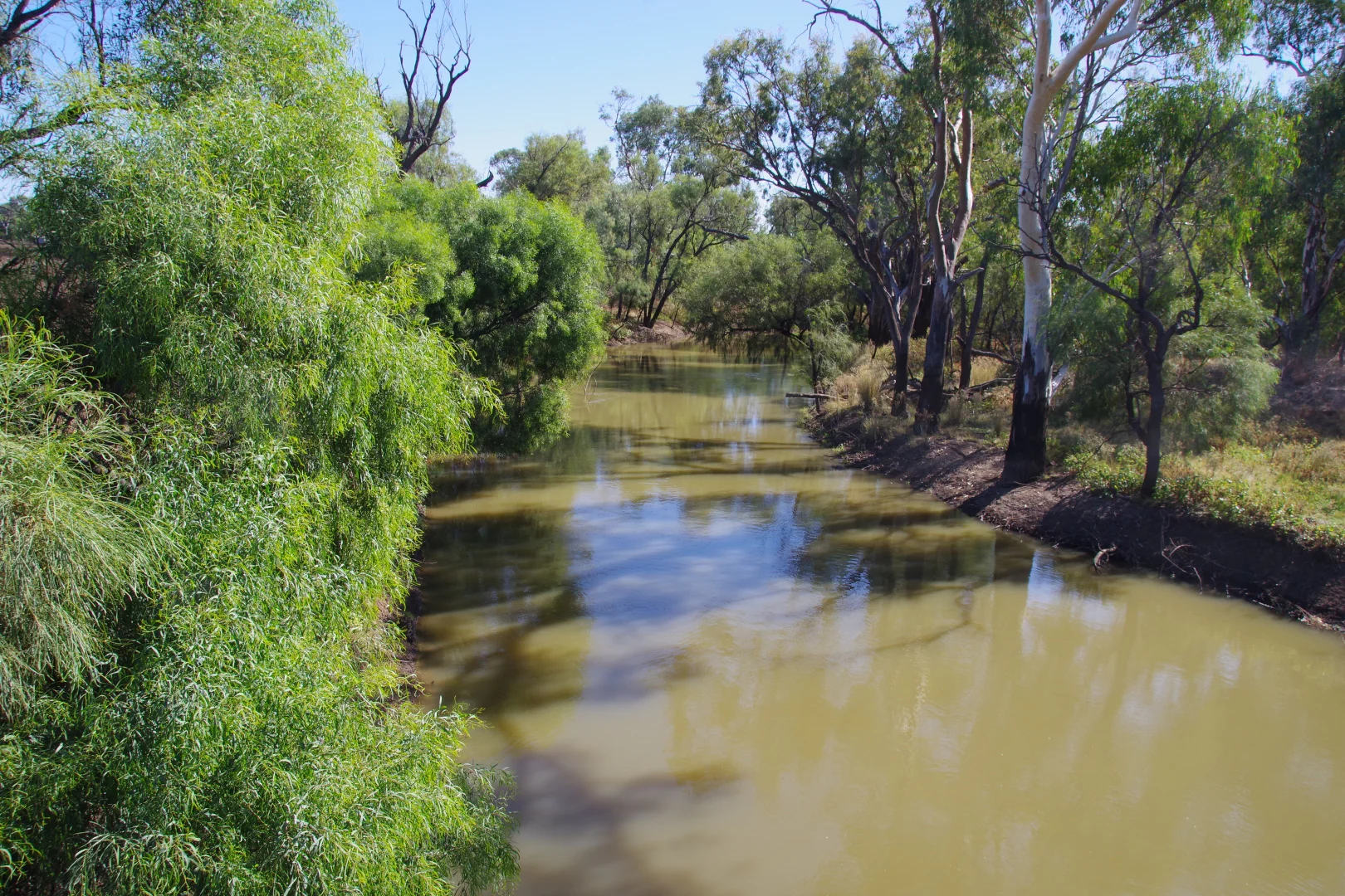 Additional image 22 of 36 Cudgewa Lane, Wee Waa NSW 2388