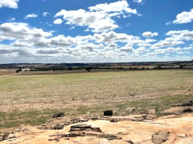 Additional image 7 of 351 Cooke Road, East Popanyinning WA 6309