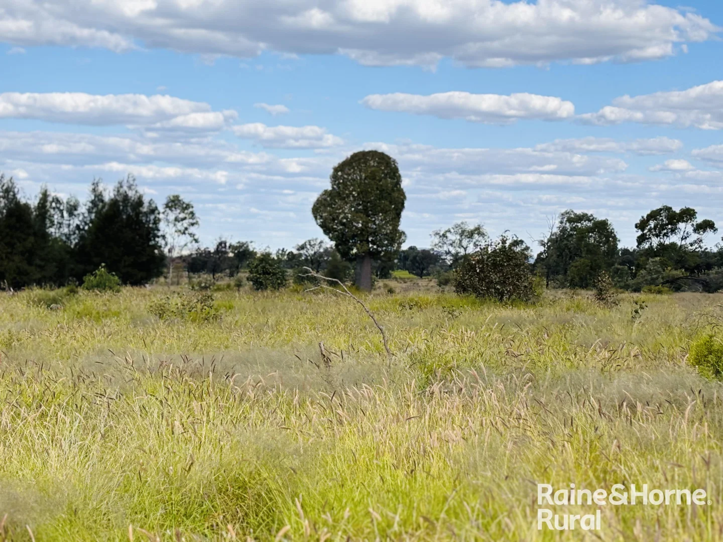 Additional image 2 of 640 Carrington Road, Roma QLD 4455