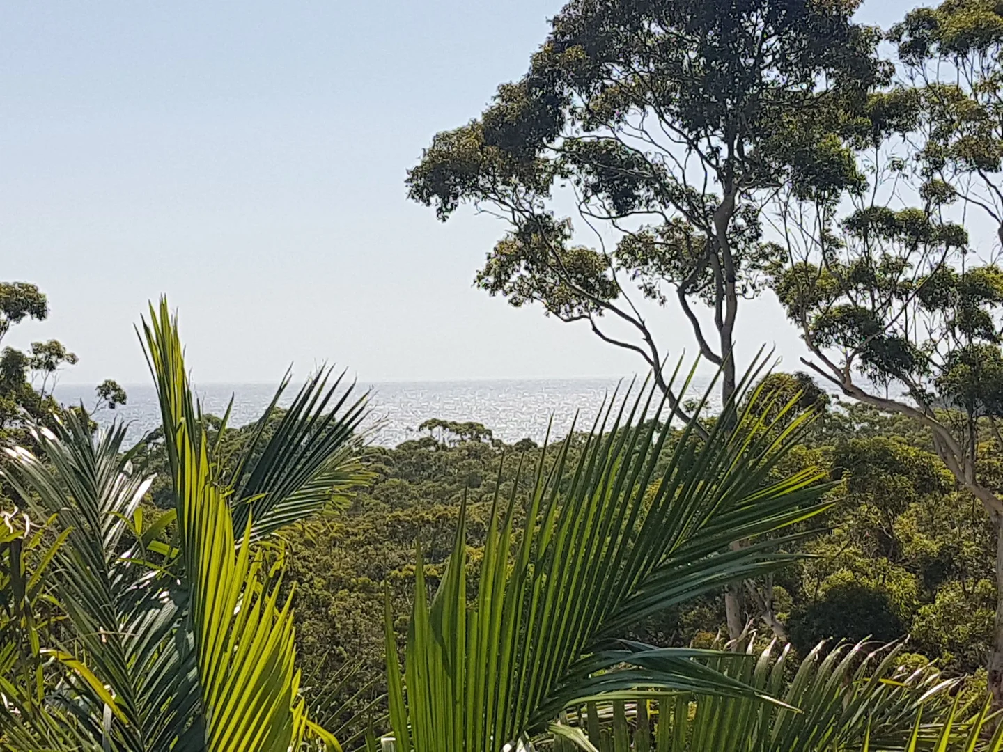 Additional image 12 of 3 Ridgeline court, Elizabeth Beach NSW 2428