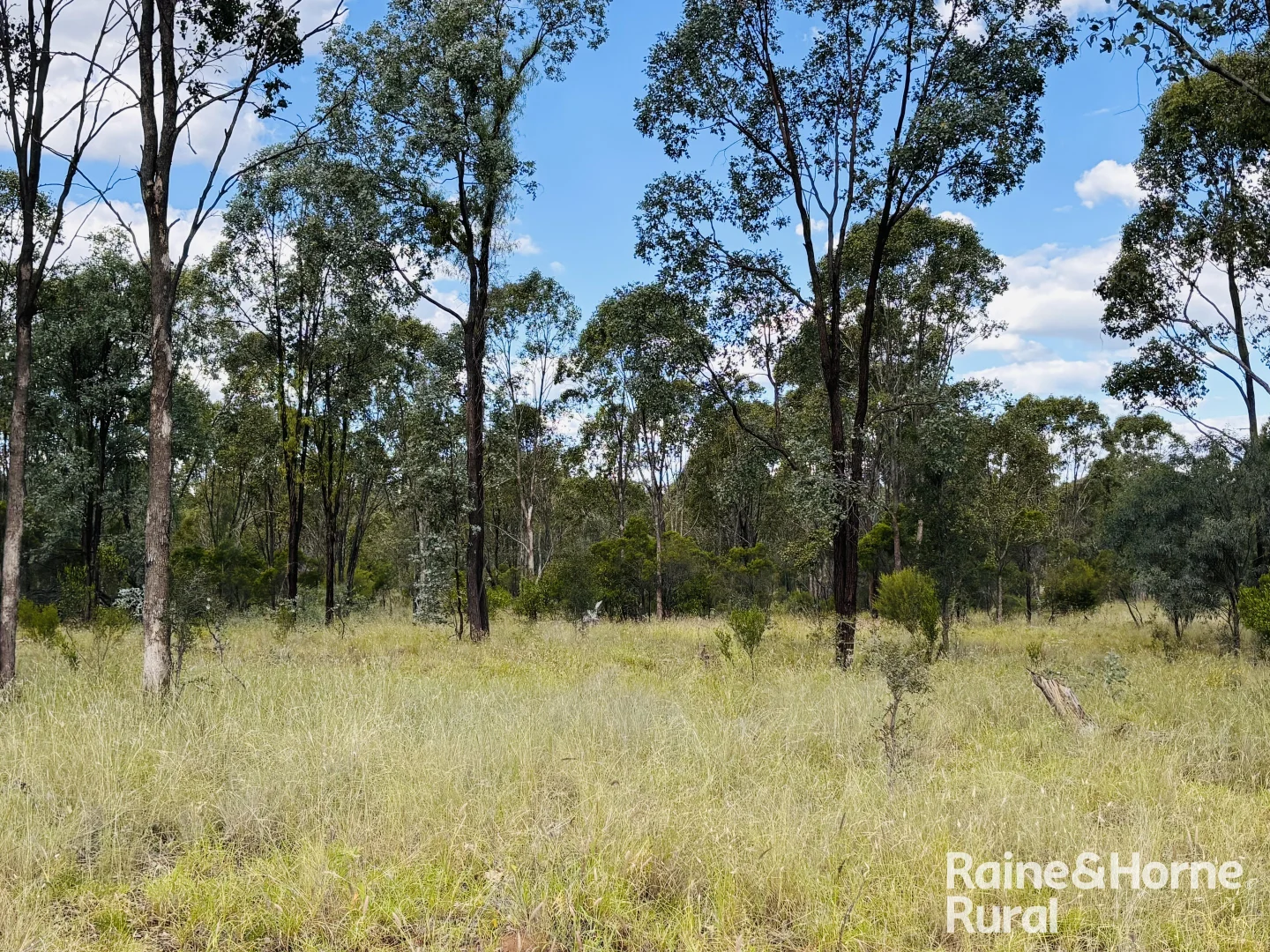 Additional image 8 of 640 Carrington Road, Roma QLD 4455