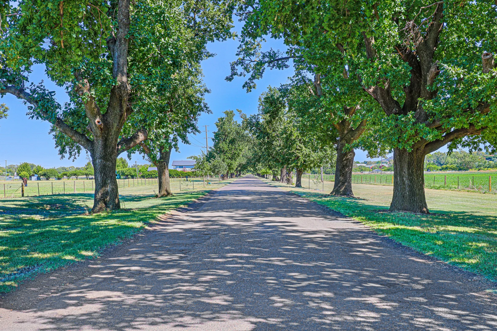 Additional image 13 of 73-95 King George V Ave, Tamworth NSW 2340