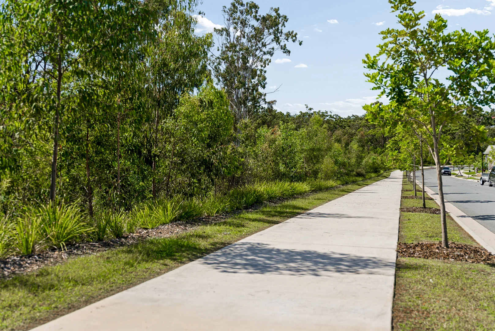 Additional image 29 of 24 Kestrel Street, Worongary QLD 4213