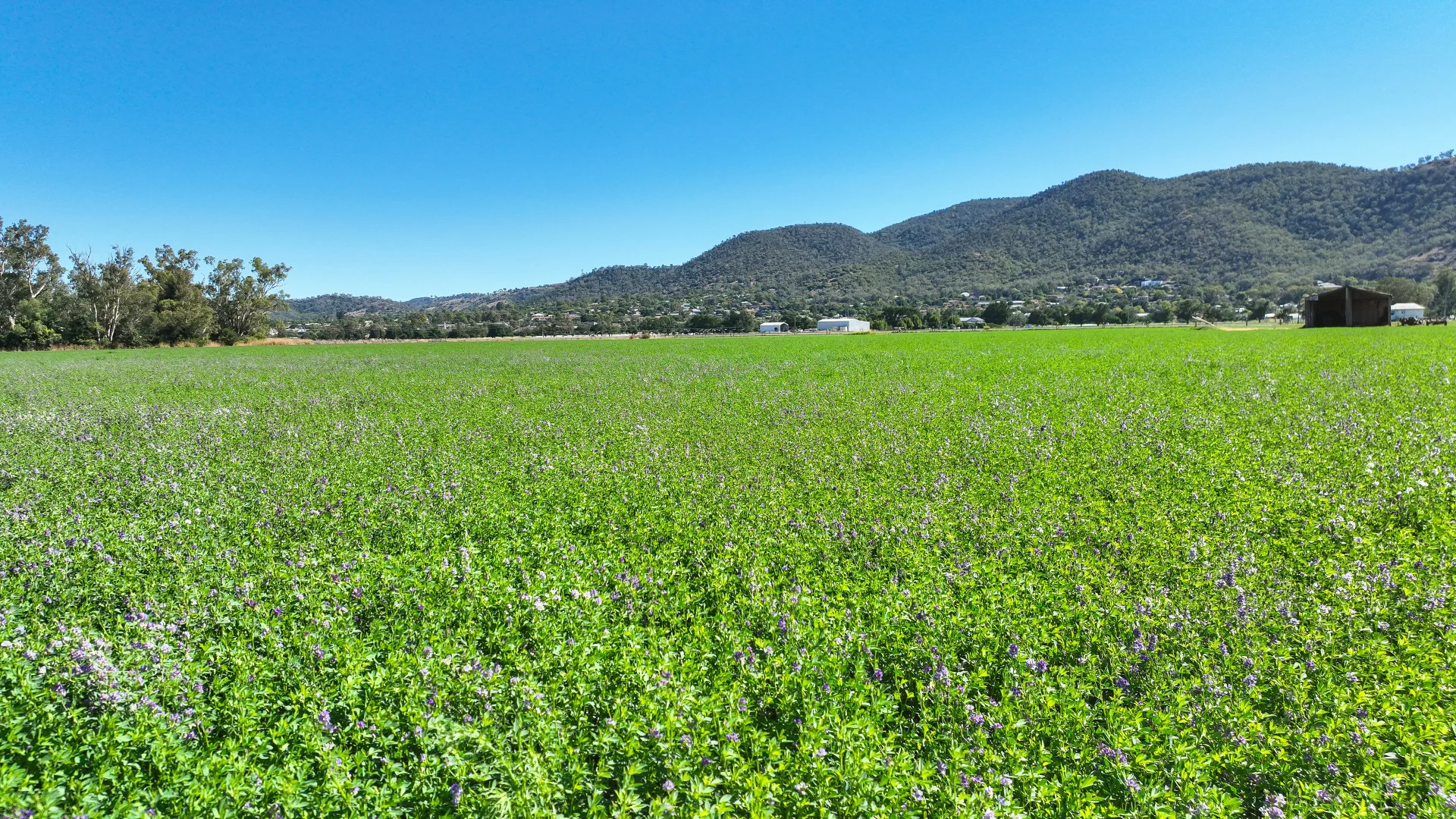 Additional image 4 of 73-95 King George V Ave, Tamworth NSW 2340