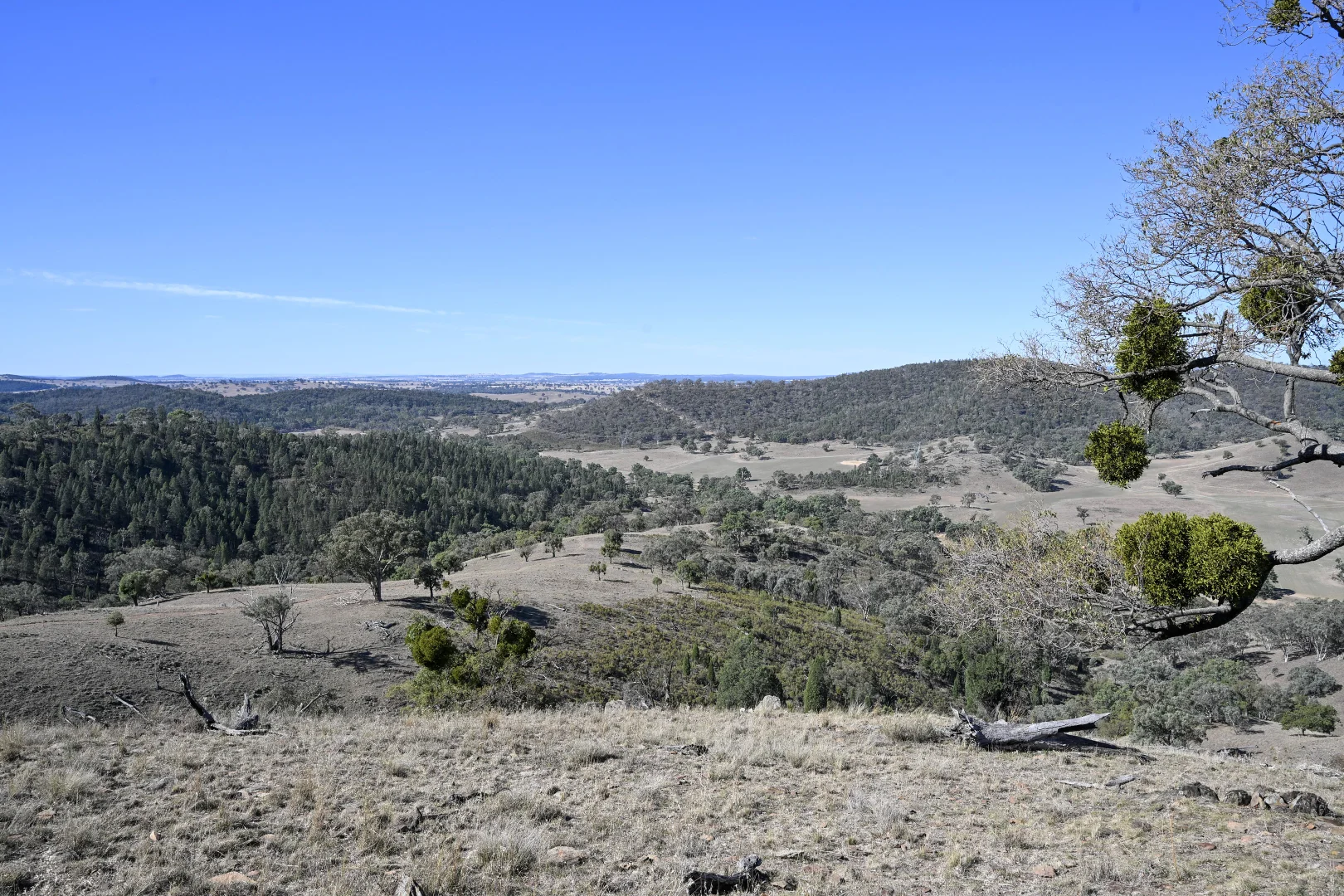 Gulgong NSW 2852 photo 4