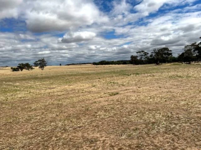 Additional image 8 of 351 Cooke Road, East Popanyinning WA 6309