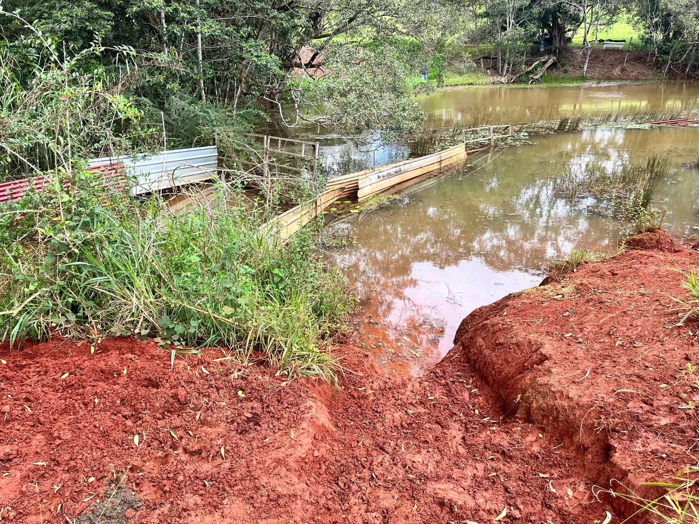 Additional image 17 of Lot 2 Lake Barrine Road, Lake Eacham QLD 4884