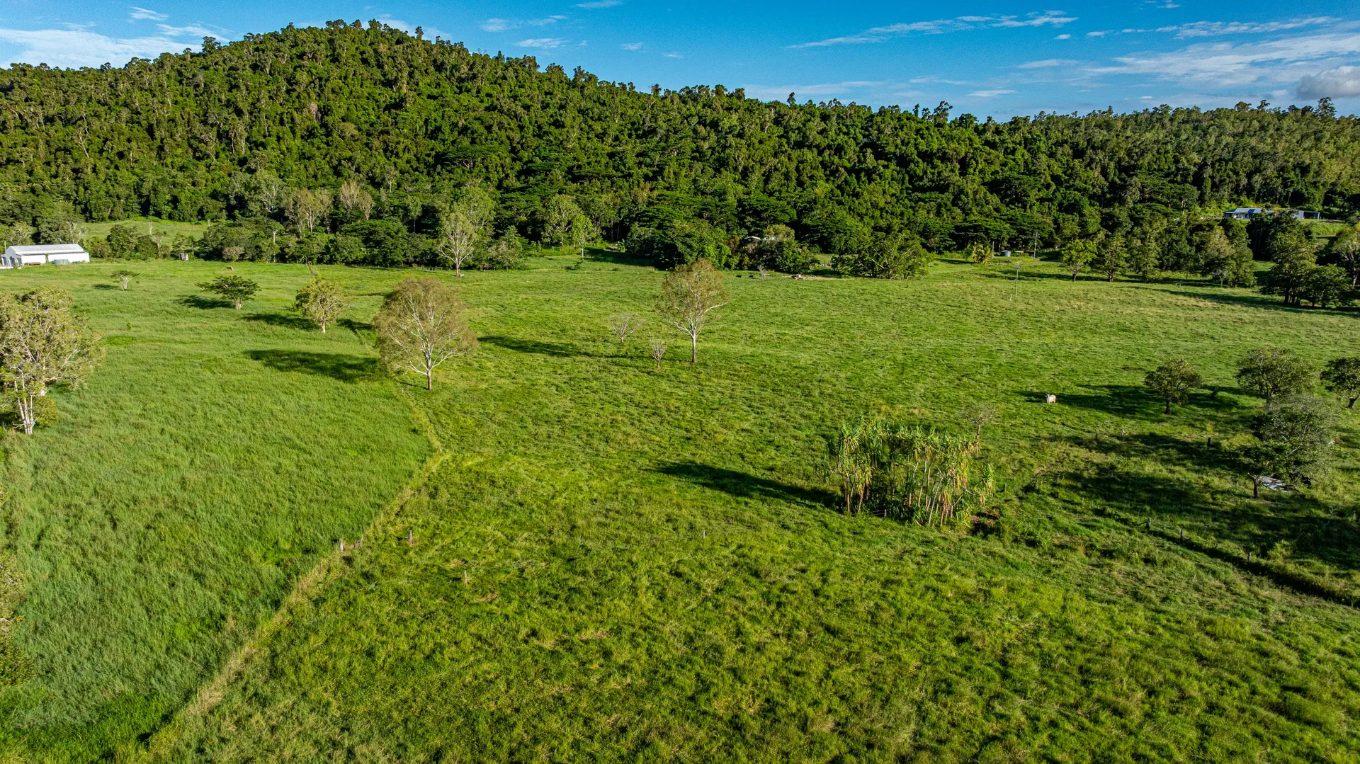 Additional image 24 of 122 Patullo Road, Gregory River QLD 4800