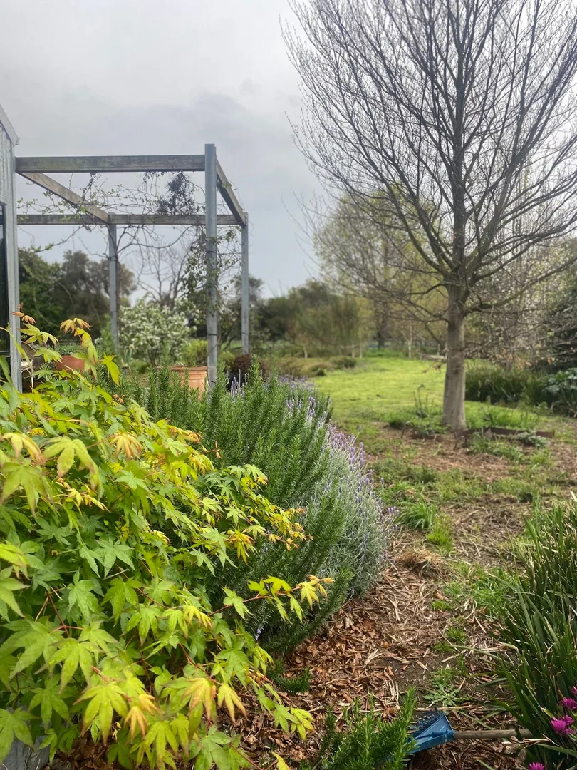 Additional image 29 of 3500 Ballarto Road, Bayles VIC 3981