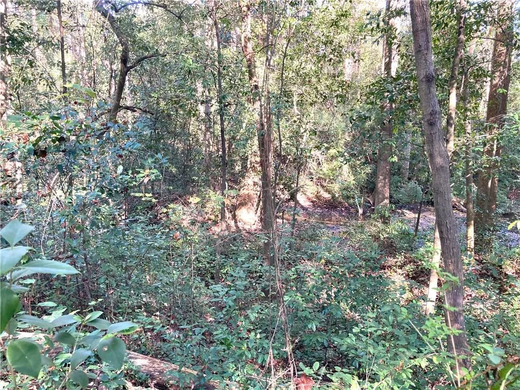 Additional image 3 of Big Spring Drive, Phenix City, AL 36870