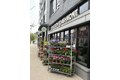 Additional image 25 of 23 Ashmont St Apt 3, Boston, MA, 02124