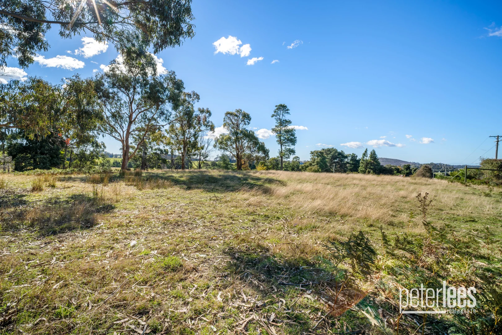 Additional image 26 of 651 Golconda Road, Lebrina TAS 7254