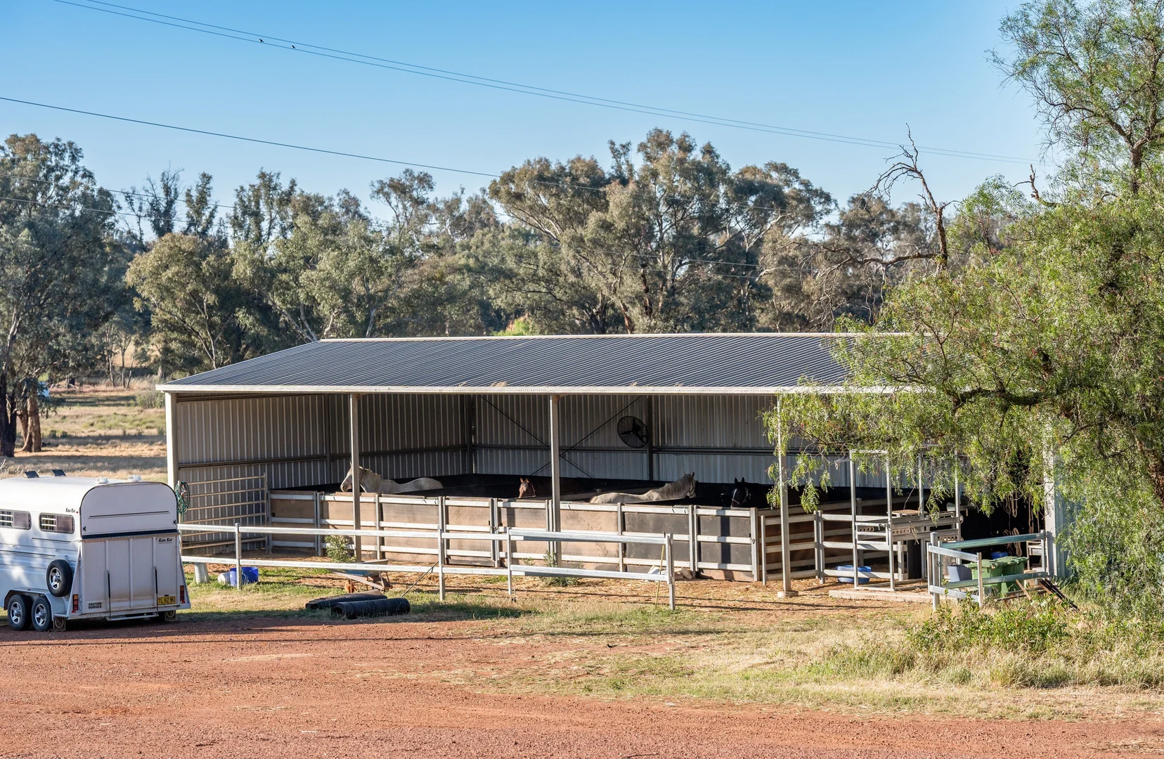 Additional image 10 of "KALOONA" Holbrook Road, Mangoplah NSW 2652